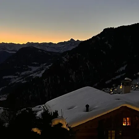 Lejlighed Cozy Medran In Out