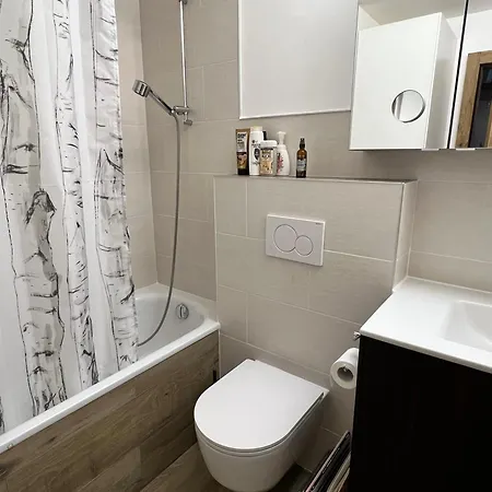 Cozy Medran In Out Verbier